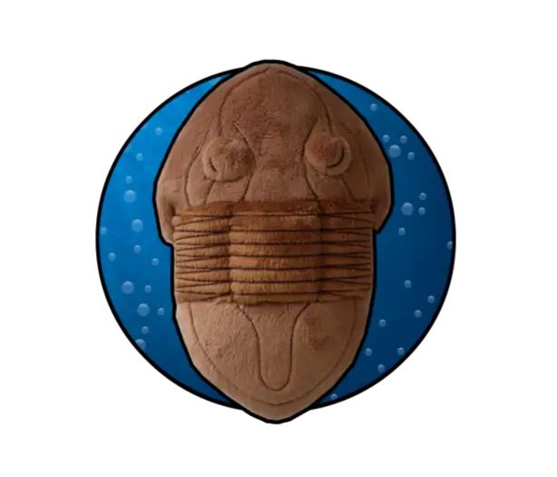 Trilobite (Isotelus)